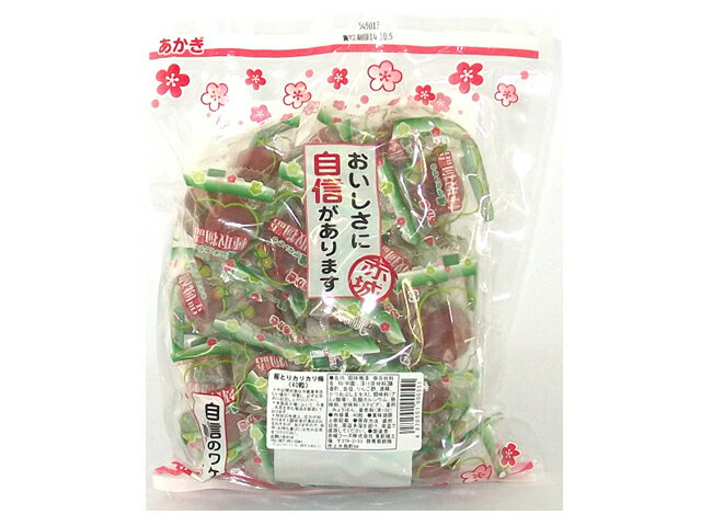 800円 最大55%OFFクーポン 赤城フーズ あかぎのカリカリ梅 400g