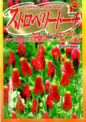 楽天市場 アタリヤ農園 アタリヤ ストロベリートーチ クリムソンクローバー 価格比較 商品価格ナビ