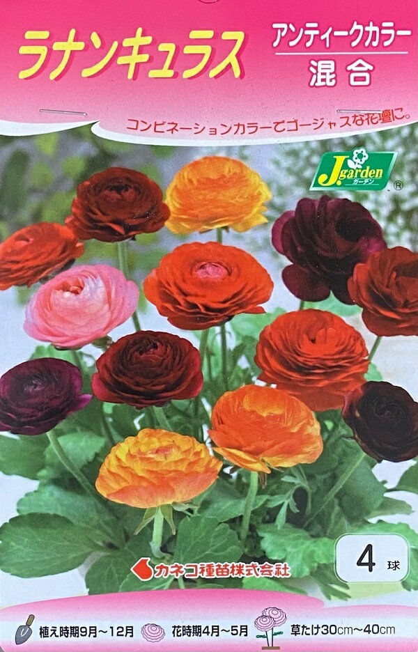 Amazon.co.jp： 国華園 秋植え球根 ラナンキュラス ミックス (無選別) 100ml (約1025球) DIY・工具・ガーデン