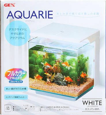 祝開店 大放出セール開催中 リラックスホワイト 他の商品と同梱不可 アクアリエ メーカー ジェックス 送料無料 進化したオールインワン水槽 水槽 Oyostate Gov Ng 祝開店 大放出セール開催中 リラックスホワイト 他の商品と同梱不可 アクアリエ メーカー ジェックス 送料無料 進化したオールインワン水槽 水槽 Oyostate Gov Ng