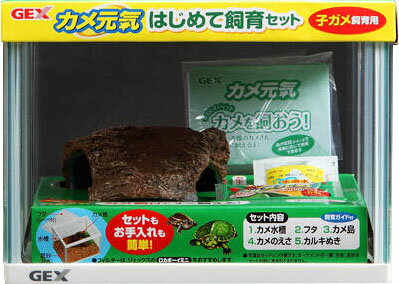 楽天市場 ジェックス カメ元気 はじめて飼育セット 1セット 価格比較 商品価格ナビ