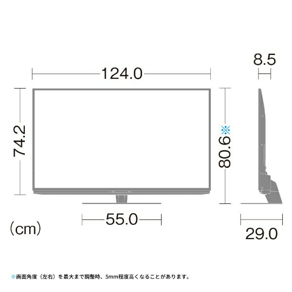 シャープ 55V型 4K 液晶 テレビ AQUOS 4T-C55DN1 N-Blackパネル 倍速