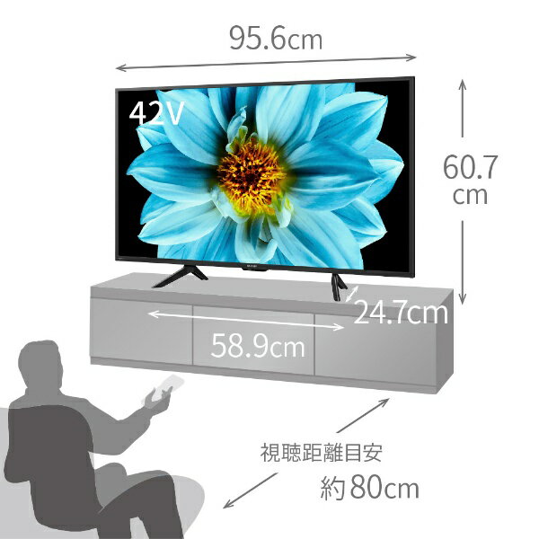 SHARP 液晶テレビ 4T-C42DJ1