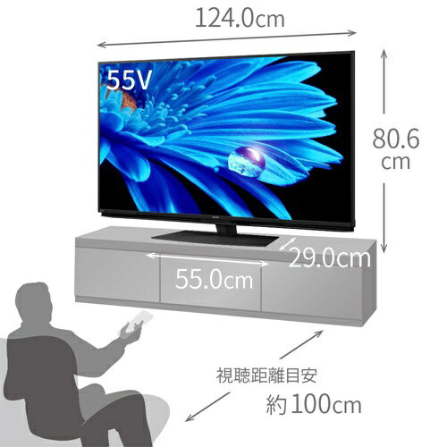 SHARP 55V型 4K液晶テレビ AQUOS EN1ライン 4T-C55EN1