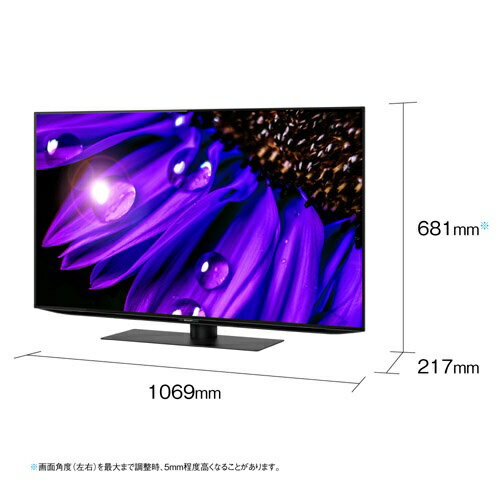 SHARP 48V型 4K有機ELテレビ AQUOS EQ2ライン 4T-C48EQ2