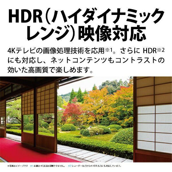 シャープ AQUOS 液晶テレビ 2T-C24EF1
