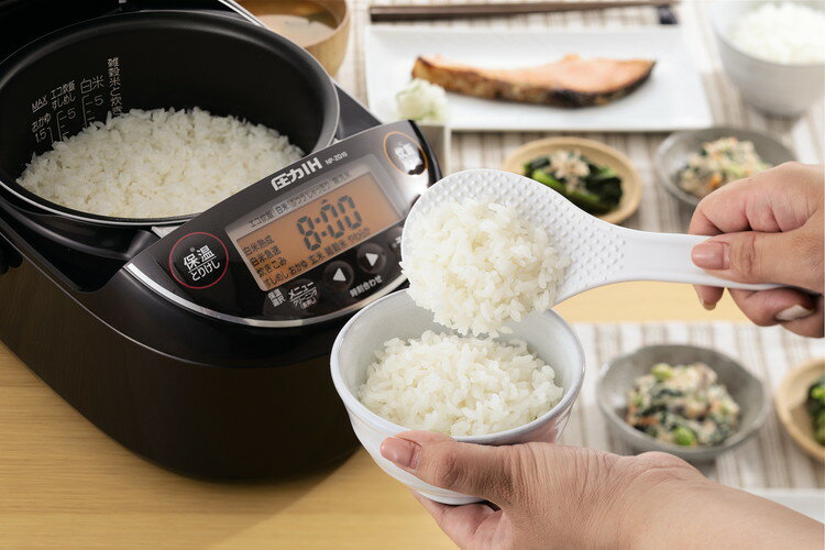 お得なクーポン 炊飯器 5.5合炊き 象印 圧力ＩＨ炊飯ジャー NP-ZG10-TD 極め炊き 炊飯器