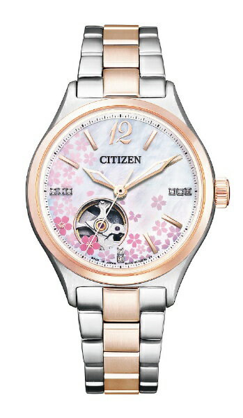 楽天市場】シチズン時計 CITIZEN コレクション PC1009-27M | 価格比較 ...