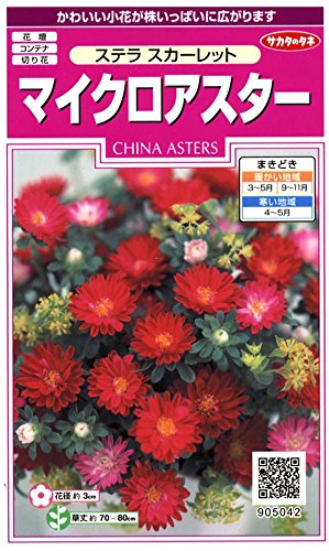 楽天市場 サカタのタネ マイクロアスター ステラ スカーレット 種子 サカタのタネ 価格比較 商品価格ナビ