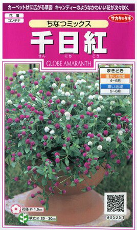 楽天市場】サカタのタネ サカタのタネ 実咲花5251 千日紅 ちなつミックス 00905251 | 価格比較 - 商品価格ナビ