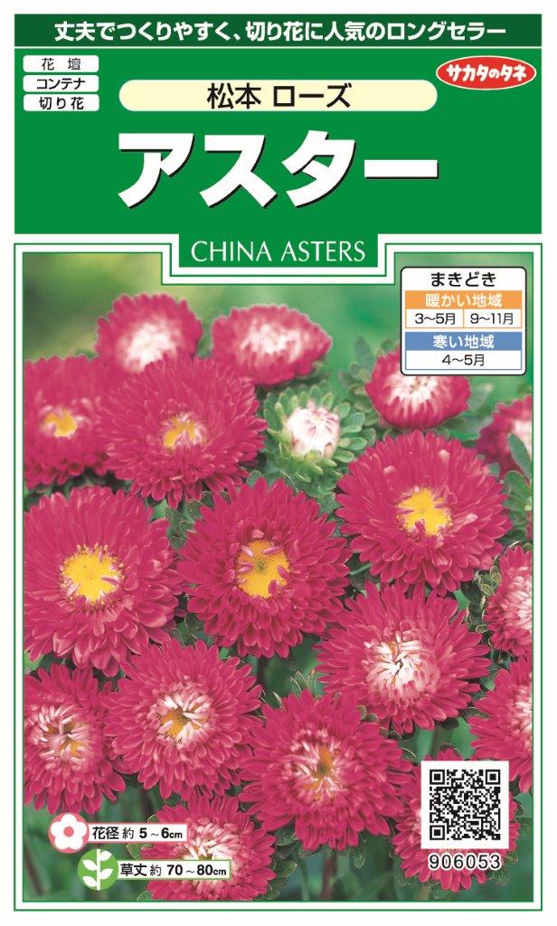 楽天市場 サカタのタネ アスター松本 ローズ 種 価格比較 商品価格ナビ