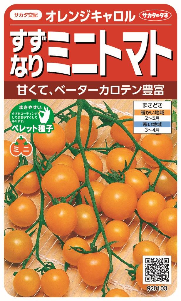 楽天市場 サカタのタネ オレンジキャロル ペレット 春まき野菜種 価格比較 商品価格ナビ