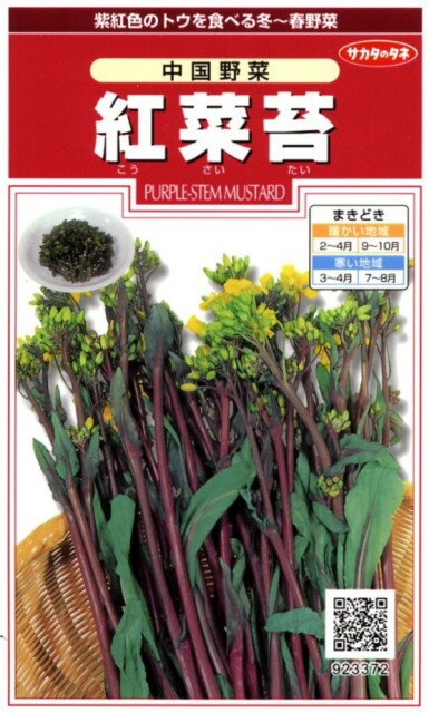 楽天市場】サカタのタネ 中国野菜 紅菜苔 こうさいたい サカタのタネ 野菜種 | 価格比較 - 商品価格ナビ