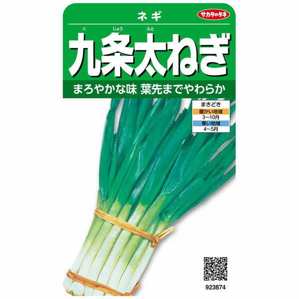 楽天市場】サカタのタネ サカタのタネ 実咲野菜3870 石倉一本太ねぎ ネギ 00923870 | 価格比較 - 商品価格ナビ