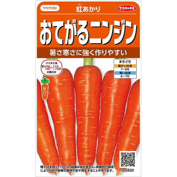 サカタのタネ 実咲野菜2470 カリフラワー 野崎早生 00922470 kgANAWZaSu, DIY、工具 - www.velver.hu