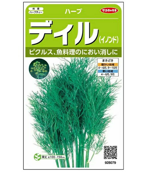 楽天市場 サカタのタネ サカタのタネ ディル イノンド ハーブ 価格比較 商品価格ナビ