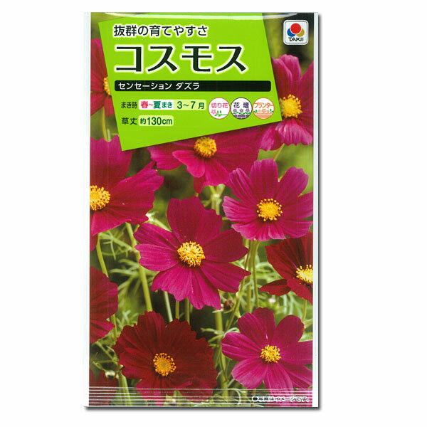 楽天市場 タキイ種苗 コスモスセンセーション ダズラ 種 価格比較 商品価格ナビ