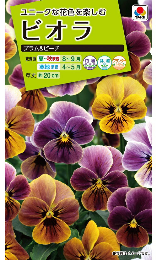 パンジー F1ナチュレ混合の種 タキイ 花タネ 種 タネ 園芸ネット 本店 通販 ベジタブルガーデン ハラダ花の種 営利用 ウィンター パンジー F1ナチュレ系 F1ナチュレ マルベリー 1000粒 10 タキイ種苗 Inspree Com