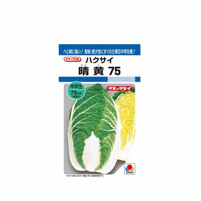 楽天市場】タキイ種苗 ハクサイ 黄ごころ80 タキイ種苗 野菜種 | 価格比較 - 商品価格ナビ