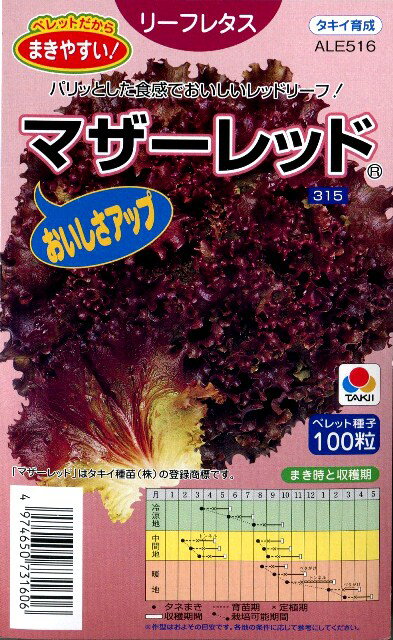 人気デザイナー ハンサムレッド1号 Lコート5千粒 レタス ウエキ育成 横浜植木 fucoa.cl