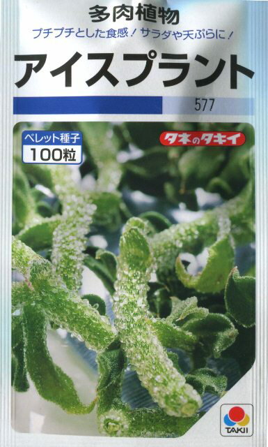 楽天市場 タキイ種苗 アイスプラント ペレット種子 価格比較 商品価格ナビ