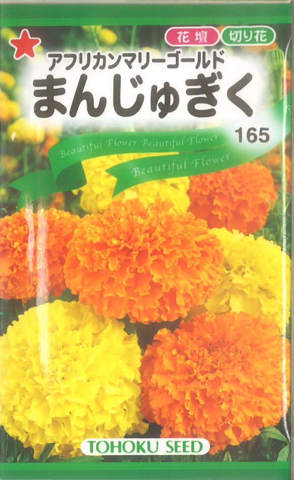 楽天市場 トーホク アフリカンマリーゴールドまんじゅぎく 種 価格比較 商品価格ナビ