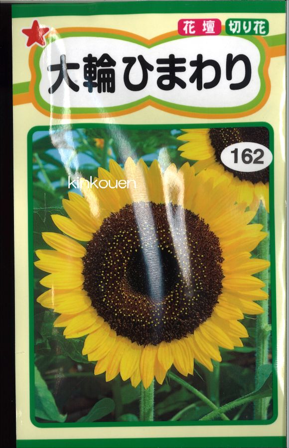 楽天市場】サカタのタネ 花の種 ひまわり(かがやき) 品番:906735 | 価格比較 - 商品価格ナビ
