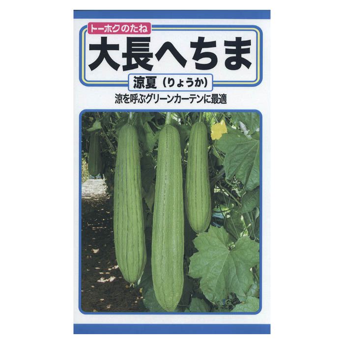 楽天市場】サカタのタネ サカタのタネ 実咲野菜0975 ヘチマ 00920975 | 価格比較 - 商品価格ナビ