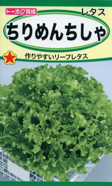 楽天市場】サカタのタネ サカタのタネ 実咲野菜3673 リーフレタスグリーン リーフレタス 00923673 | 価格比較 - 商品価格ナビ