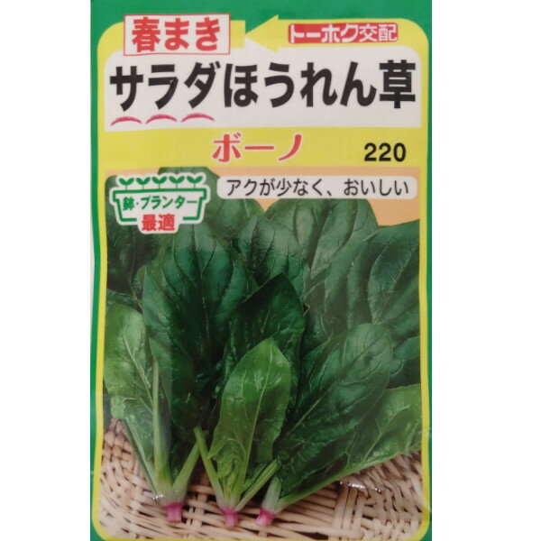 販売期間 限定のお得なタイムセール 野菜の種 種子 早生サラダあかり ほうれんそう 1dl メール便発送 タキイ種苗 medimind.com.au