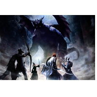CAPCOM - Dragon’s Dogma： Dark Arisen（ドラゴンズドグマ：ダー… Amazon.com: Dragon's Dogma [Japan Import] : Video Games