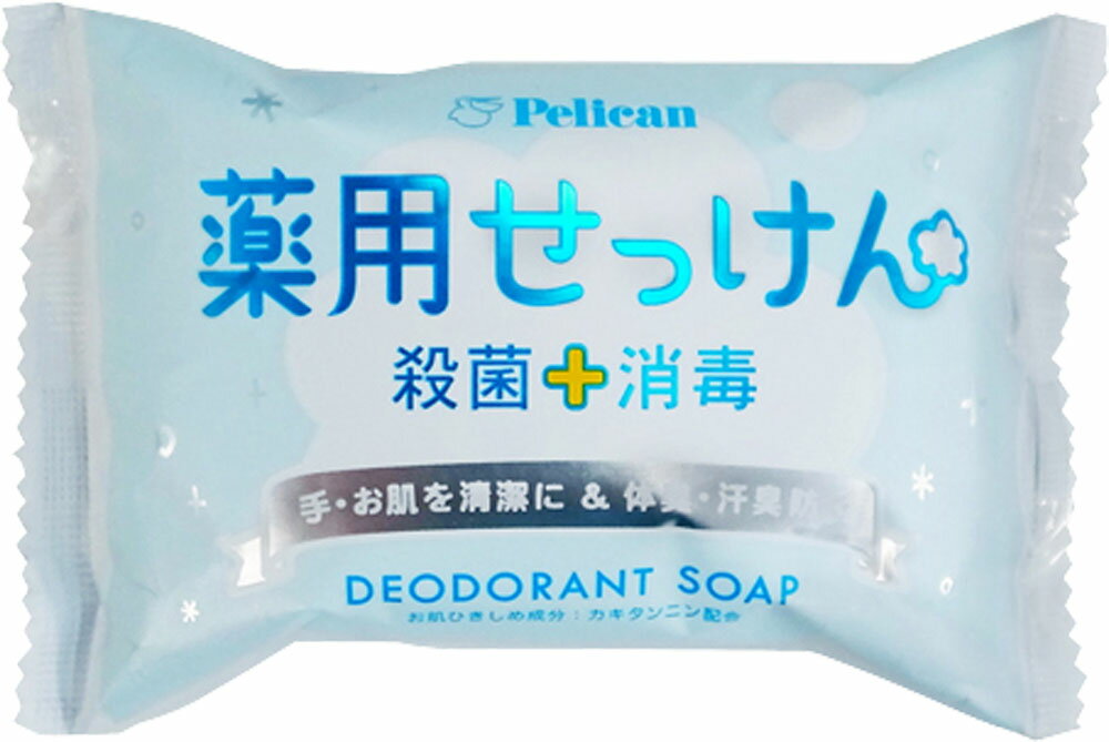 楽天市場 第一三共ヘルスケア ピロエース石鹸 70g 価格比較 商品価格ナビ