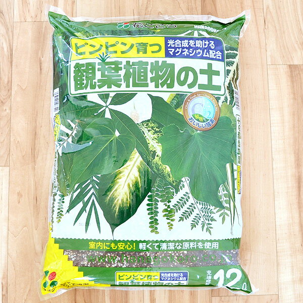 楽天市場 アイリスオーヤマ アイリスオーヤマ ゴールデン粒状培養土 観葉植物用 Grb K14 価格比較 商品価格ナビ