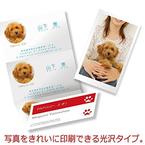 PLUS キリッと両面 きれいな光沢カード IC-KG701