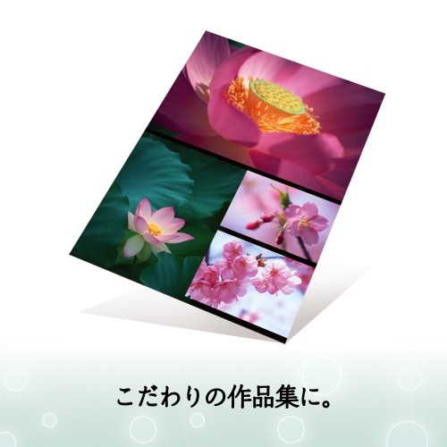 PLUS しっとり光沢紙 両面 A4判 IT-W125SG-N