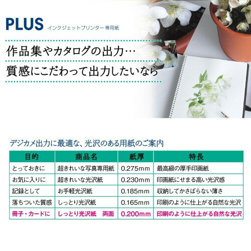 PLUS しっとり光沢紙 両面 A4判 IT-W125SG-N
