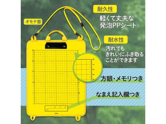 かんさつ学習ボード FL-195SF Y