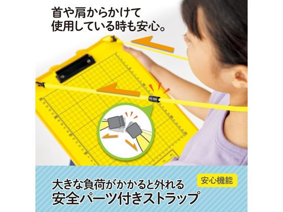 かんさつ学習ボード FL-195SF Y