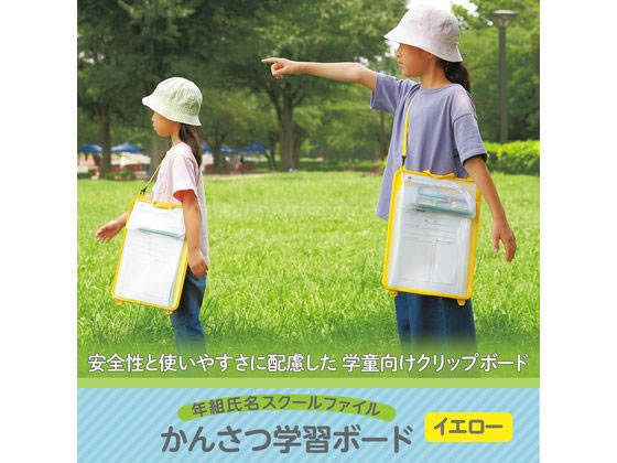 かんさつ学習ボード FL-195SF Y