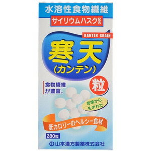 楽天市場】大和薬品 レンチンプラス1000 粉末(1.4g*105包) | 価格比較