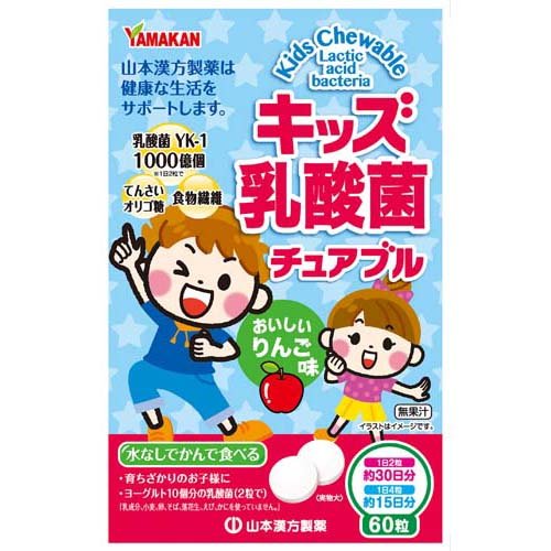 楽天市場】山本漢方製薬 山本漢方 毎日の腸内バランス 乳酸菌粒(90粒