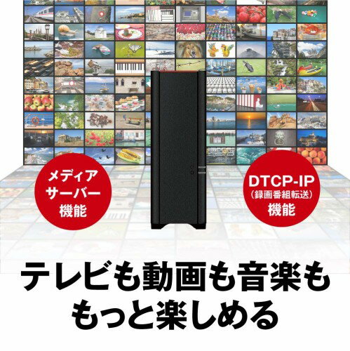BUFFALO リンクステーション ネットワーク対応HDD LS210D0401G