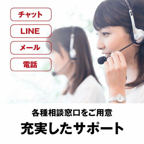 BUFFALO リンクステーション ネットワーク対応HDD LS210D0401G