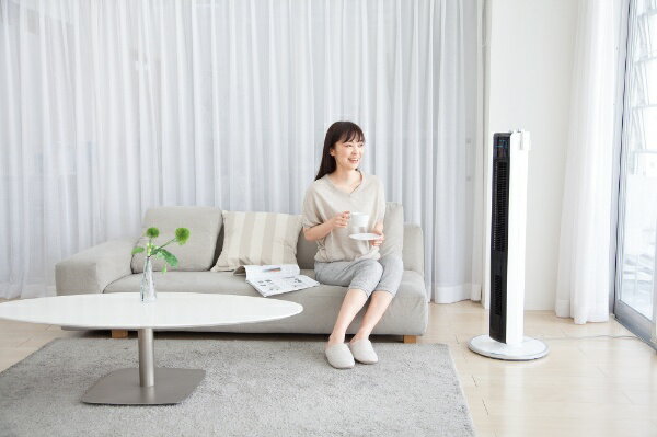 コイズミ 送風機能付ファンヒーター ホワイト KHF-1226／W(1台)