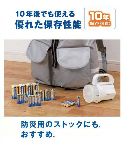 パナソニック アルカリ乾電池 エボルタ 単4形 LR03EJ／8SW(8本入)