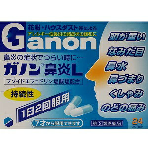 楽天市場】湧永製薬 フジビトール鼻炎薬S 18カプセル | 価格比較 - 商品価格ナビ