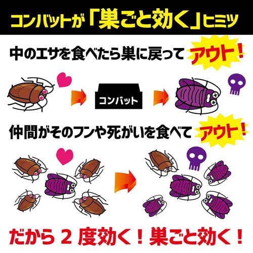 コンバット 1年用 4個入 N