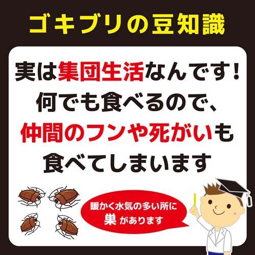 コンバット スマートタイプ 1年用 N 20個入