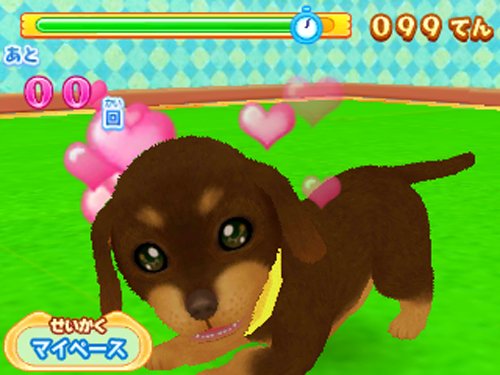 わんニャンどうぶつ病院 ステキな獣医さんになろう！/3DS/CTRPAWJJ/A 全年齢対象