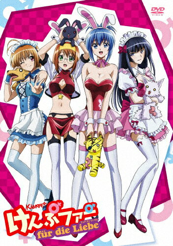けんぷファー　フュア　ディ　リーヴェ/ＤＶＤ/KIBA-91847